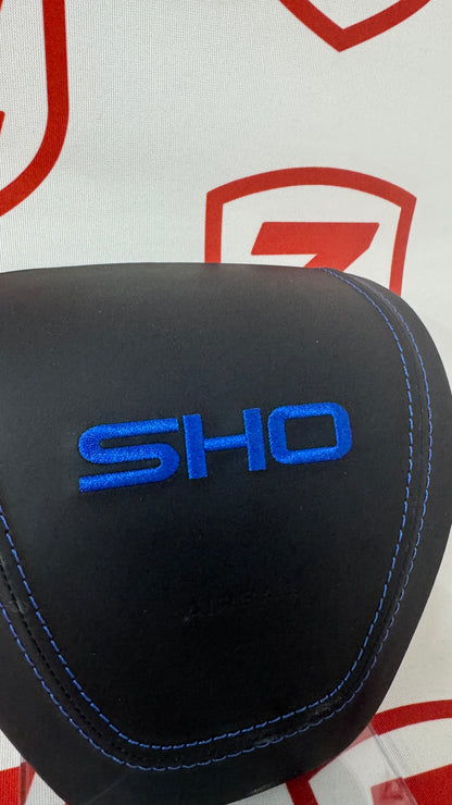 2013-2019 Ford Taurus SHO Airbag Cover - Preset