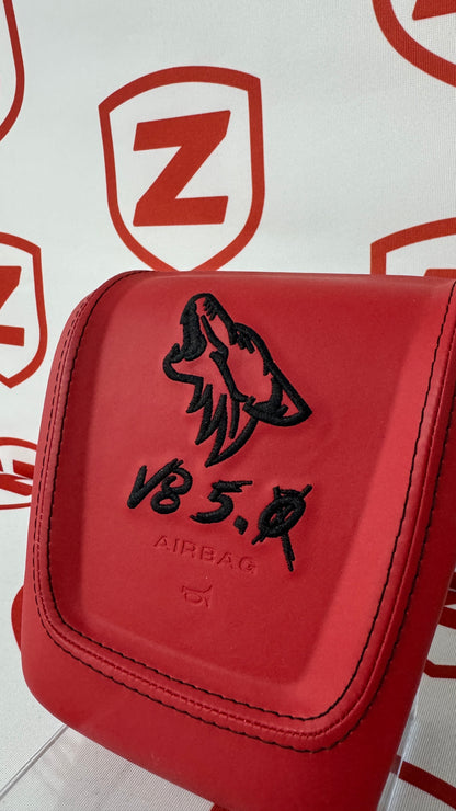 2009-2014 Ford F150, F-250, F-350, F-450, Excursion Super Duty Airbag Cover - Customizable